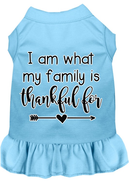 I Am What My Family is Thankful For Screen Print Dog Dress Baby Blue Sm